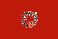 平顶山市郏市回收红酒